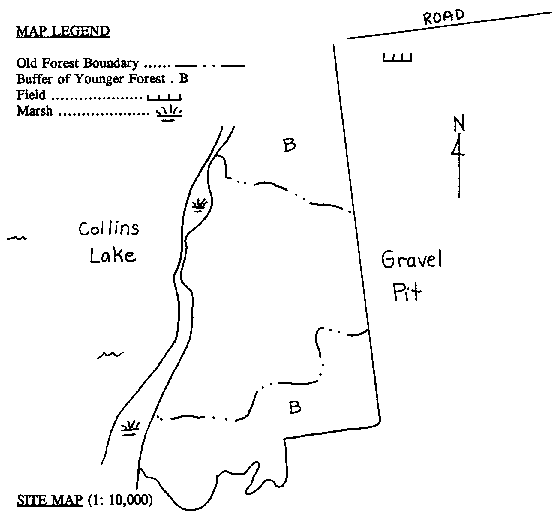 1991 Old Growth Survey - Collins Lake