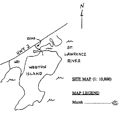 1991 Old Growth Survey - Weston Island