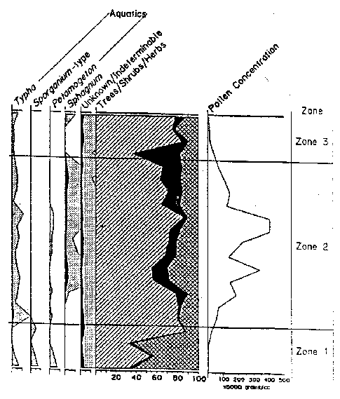 Pollen Diagram 3 of 3 - Hill Island, Ontario