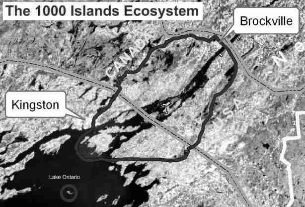 The 1000 Islands Ecosystem